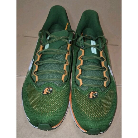 NIKE AIR PEGASUS 41 COLLEGE FAMU GREEN MEN\'S Size 10.5 NEW